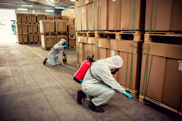 Best Affordable Pest Control Services  in Orange Beach, AL