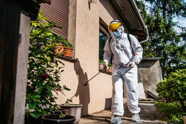 Best Pest Prevention Services  in Orange Beach, AL