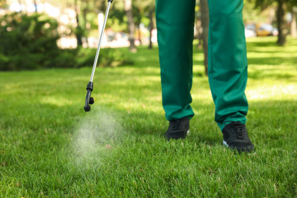 Best Mosquito Control Services  in Orange Beach, AL