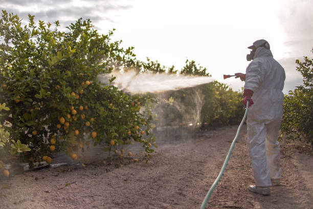 Insect Control in Orange Beach, AL