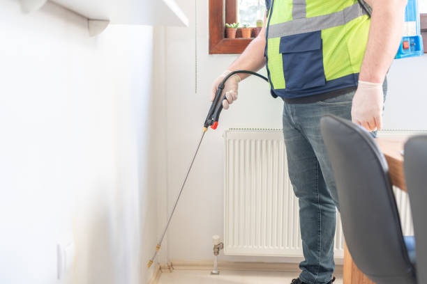 Best Emergency Pest Control  in Orange Beach, AL