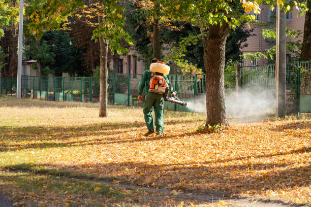 Best Flea Control Services  in Orange Beach, AL